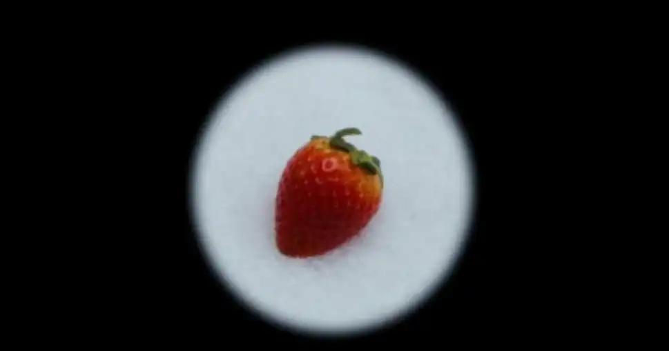 Maruška aneb příběh zdánlivě skutečné jahody v zimě / Maruška ou l’histoire d’une vraie fausse fraise en hiver Maruška aneb příběh zdánlivě skutečné jahody v zimě / Maruška ou l’histoire d’une vraie fausse fraise en hiver